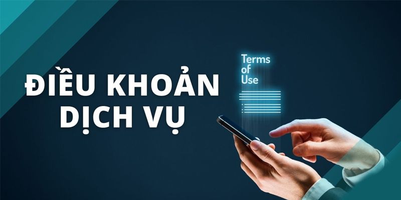 Điều Khoản Dịch Vụ: Tổng Hợp 4 Quy Định Phổ Biến Nhất