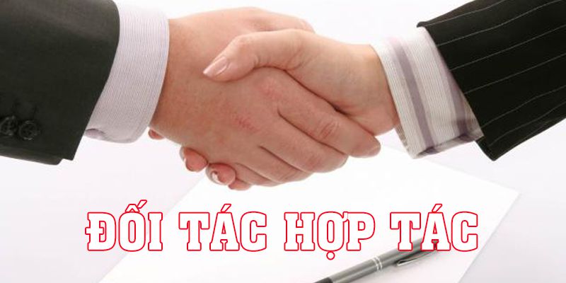 Đối Tác Hợp Tác: Thu Lợi Nhuận Đơn Giản Cùng Nhà Cái