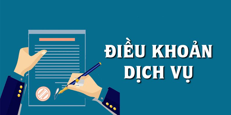 Tìm hiểu chi tiết về những điều khoản dịch vụ 